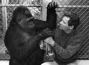 William Shatner and Koko